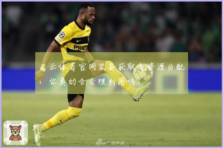 开云体育官网装备获取与资源分配，你真的会合理利用吗？