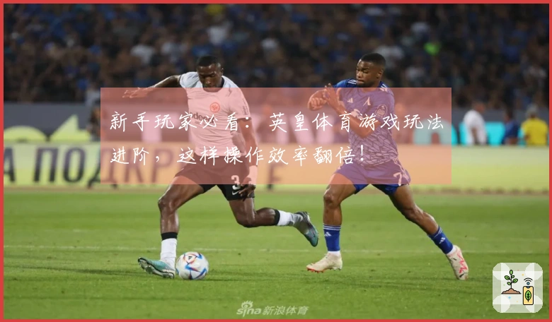 新手玩家必看：英皇体育游戏玩法进阶，这样操作效率翻倍！
