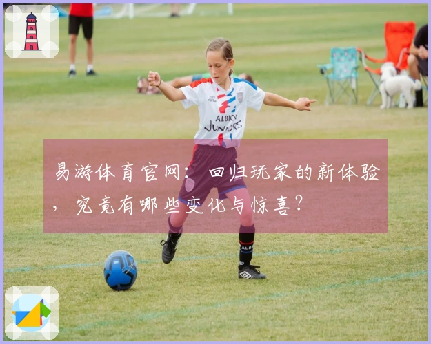 易游体育官网：回归玩家的新体验，究竟有哪些变化与惊喜？