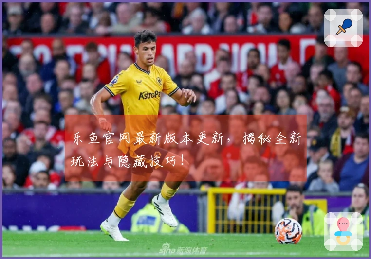 乐鱼官网最新版本更新，揭秘全新玩法与隐藏技巧！